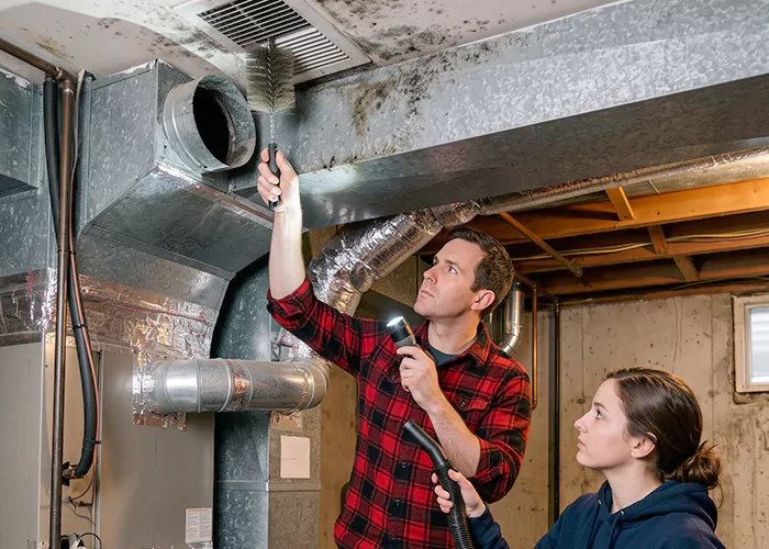 Premier HVAC Mold Remediation Company in Toms River